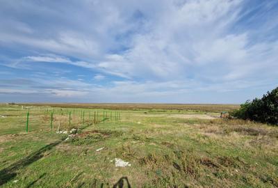 Spațiu comercial, în Vadu - 3