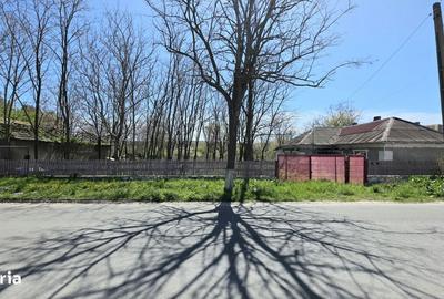 Spațiu comercial, în Sibioara - 5