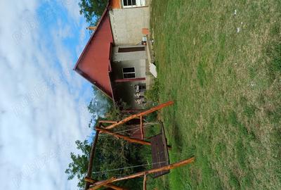 Ferma de vaci de vanzare - 8