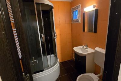 Apartament cu 2 camere decomandat în Giurgiului - 10