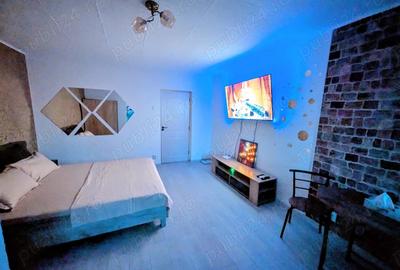 Garsonieră decomandată în Brazda lui Novac - 11