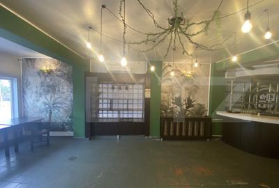 Cladire comerciala, 377 mp, zona Bulevardul Gheorghe Chitu - 27