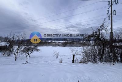 Teren Com. Negresti- jud. Neamt - 4