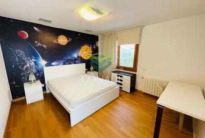 Iancu Nicolae, vila de inchiriat, 5 camere - 11