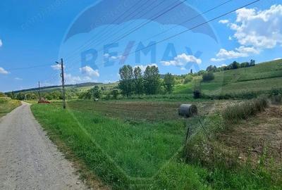 Teren de 2000 mp, în Lăureni - 4