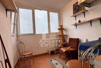 Apartament cu 3 camere decomandat în Take Ionescu - 5