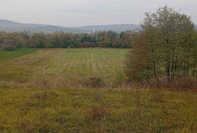 Teren de 1786 mp, în Mărtiniș - 7