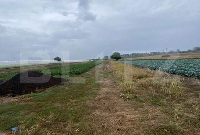 Teren de 4700 mp, în Băleni - 1