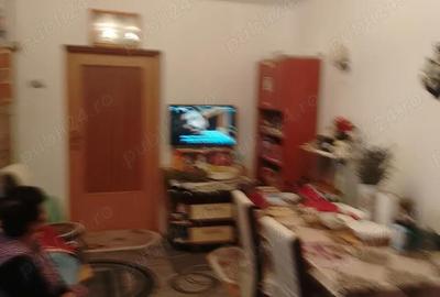 Casă cu 2 camere în Timocului-Șaguna - 2