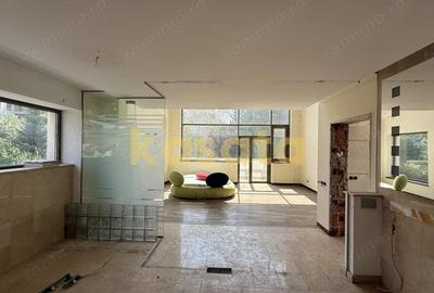 Vanzare teren 1484 mp ?oseaua Nordului ?i vila renovabila - 6