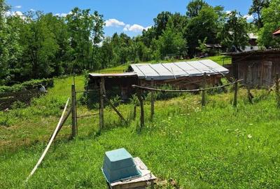 Spațiu comercial, în Bercești - 7