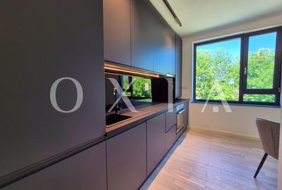 AX1068 Dumbravita, Bulevardul Petre Tutea, Prima Inchiriere - 3