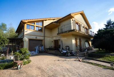 Casă cu Teren 2595 Mp în Calea Caransebeșului - 9