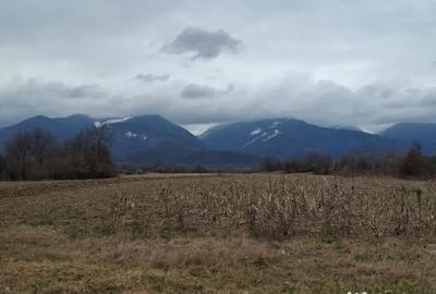 Teren de 2100 mp, în Arpașu de Sus - 2