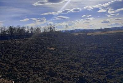 Casa 260 Mp anexe 280 Mp teren 7500 mp Rauce?ti- Ungheni - 1