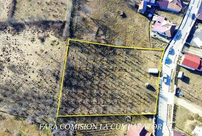 CALIMANESTI, TEREN 2378 MP, TOATE UTILITATILE - 11