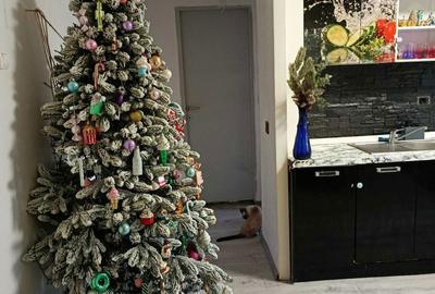 Apartament cu 2 camere decomandat în Central - 1