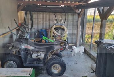 Casă cu 4 camere cu Teren 600 Mp în Vetiș - 2