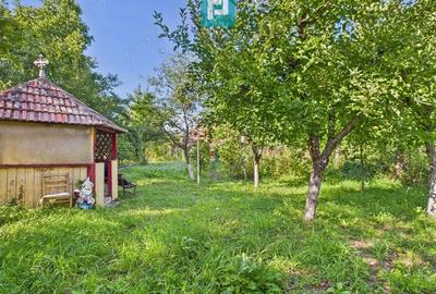 Casa cu 4 camere, curte ?i atelier mecanic - Sebe? - 13