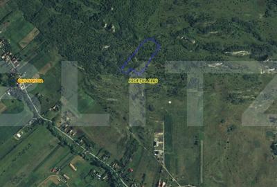 Teren extravilan 1,5 h  pentru investitie - 4