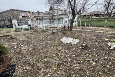 Casă cu Teren 456 Mp în Chitila - 4