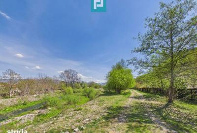 Casă cu 5 camere cu Teren 8000 Mp în Sânmartin - 7
