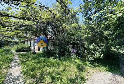 Casă cu Teren 2050 Mp în Bodești - 13