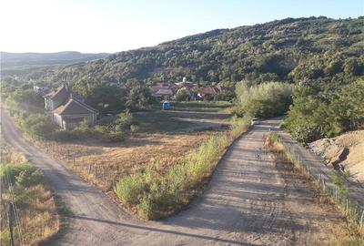 Teren de 6170 mp, în Ilba - 4