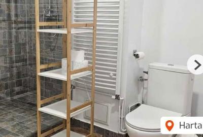 Spațiu comercial, de 20 mp, în Acriș - 6