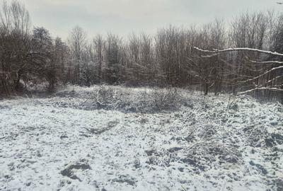 Teren de 9000 mp, în Păușești-Măglași - 14