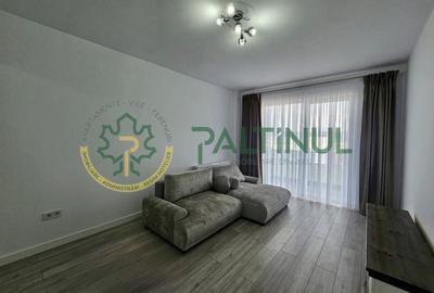 Apartament cu 2 camere decomandat în Șelimbăr - 11