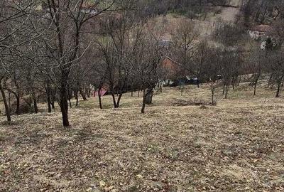 Casă cu 4 camere în Central - 3