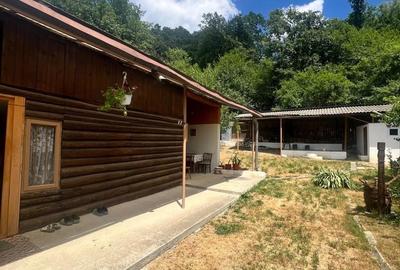 Casă cu 4 camere în Târgu Cărbunești - 1