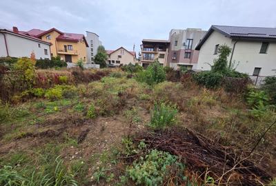 B-ul Nicolae Grigorescu, chiar la pasajul peste Spaliul Unirii, B-ul Nicolae Grigorescu, chiar la pasajul peste Spaliul Unirii, - 7