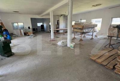 Hala Industriala 400 mp utili + 400 mp curte, JELNA - 6