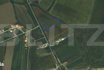 Teren de 7300 mp, în Lazuri - 2