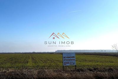 Teren Construcții intravilan de 4927 mp, în Dărmănești - 1