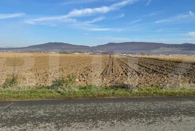 Teren de 5300 mp, în Arcalia - 4