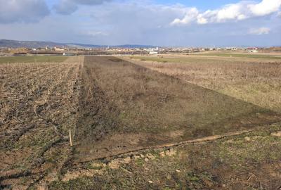 Teren agricol intravilan de 6700 mp, în Oșorhei - 3