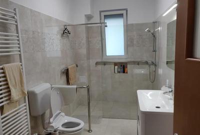 Casă individuală cu 10 camere cu Canalizare în Bucureștii Noi - 22