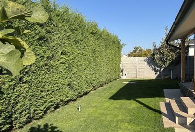 Casă cu 3 camere în Sântandrei - 19