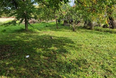 Casă cu 5 camere cu Teren 2500 Mp în Cociuba Mică - 9