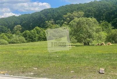 Casa 4 camere 2 bai balcon si gradina in Rasinari Casa 4 camere 2 bai balcon si gradina in Rasinari - 2