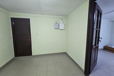 Casă individuală mare, deosebită, D+P+M, Timișoara, Braytim, comision 0% - 38