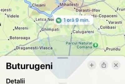 Teren cu hala, Bucsani, Crevedia / DN 61 (A1, A0) 40 Km de Bucuresti - 18