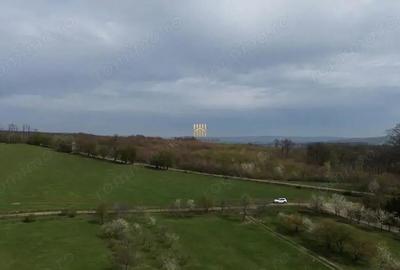 Teren de 5800 mp, în Mitocași - 11