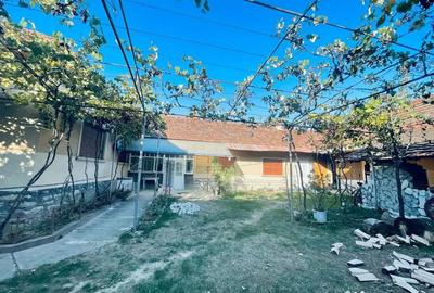 Casă cu 4 camere cu Teren 1712 Mp în Finiș - 2