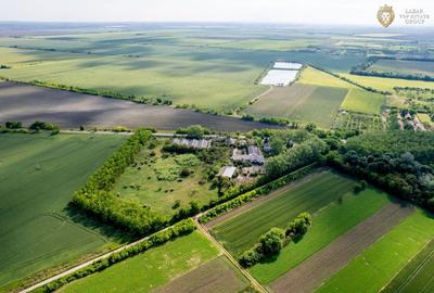 Cladire industriala de vanzare cu potential 3,5 ha in Batania - 13