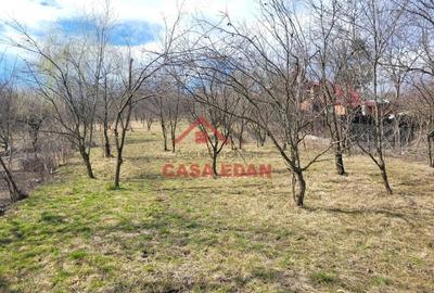 Casă cu Teren 3676 Mp în Poiana - 1