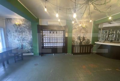 Cladire comerciala, 377 mp, zona Bulevardul Gheorghe Chitu - 4